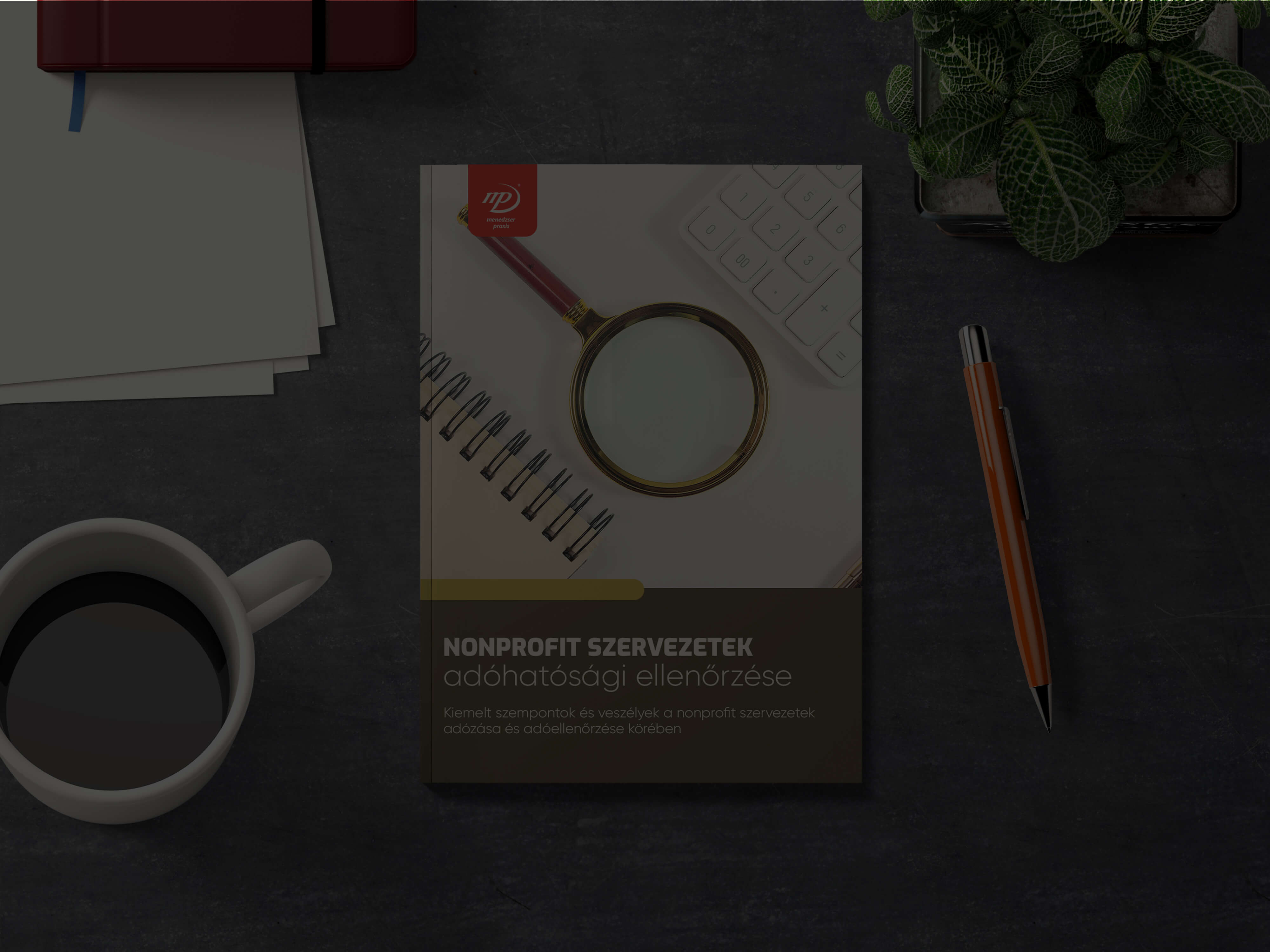 Nonprofit ellenőrzés